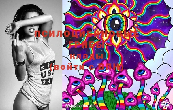 круглые Иннополис